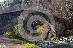 Stone bridge St. Vissarion in Pyli Thessaly region, Greece