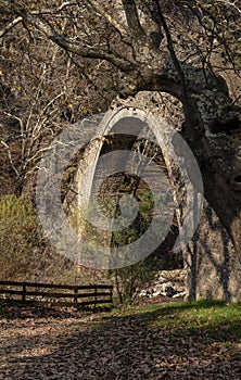 Stone bridge St. Vissarion in Pyli (Thessaly region, Greece)