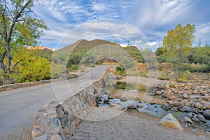 Stone bridge with a view of field of saguaros and mountain at Sabino Canyon State Park in Tucson, AZ