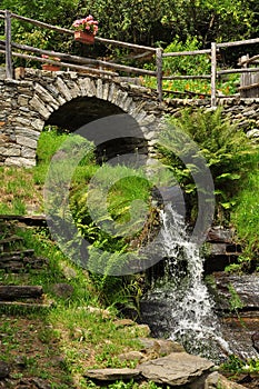 Stone bridge and waterfall with fern plants