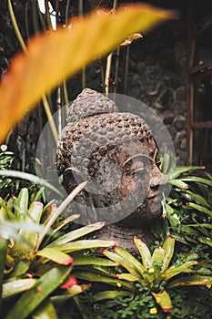 Stone Buddha statue head close-up in Bali