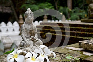 Stone Buddha statue with moss and Frangipani flowers