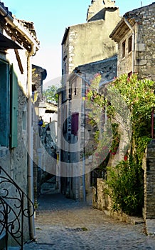 Stone building with plants growing on walls in an alleyway, Walkway, Viviers, France