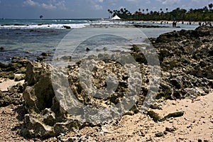 Stone cabin and palm in republica dominicana