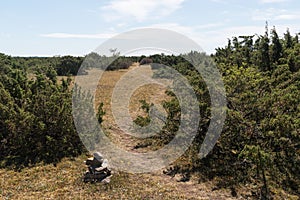 Stone cairn by a trail in a landscape with junipers