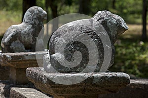 Stone carved lions at Lahugala Magul Mahavihara near Pottuvil on the east coast of Sri Lanka.