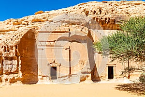 Stone carved nabataean tombs with tree ot the right, Jabal al banat, Hegra, Al Ula, Saudi Arabia