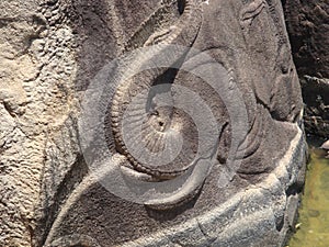 A stone carving from the Ancient city of Anuradhpura