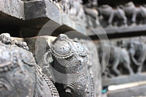 Stone carvings of hoyasala temples photo