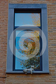 Stone cat on a window