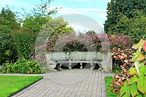 Stone Chair in the Garden Background.