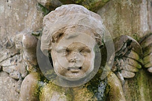 Stone cherub photo
