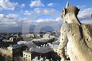 Stone chimere of Notre-Dame