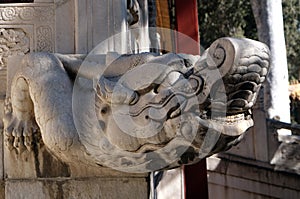 A stone Chinese dragon`s head on a wall in Forbidden City, Beijing