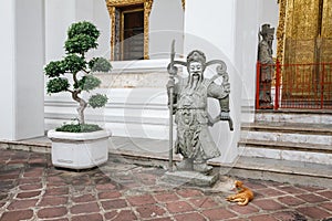 Stone Chinese Entrance Guardian of The Temple with Cat at Wat Pho, Bangkok Thailand