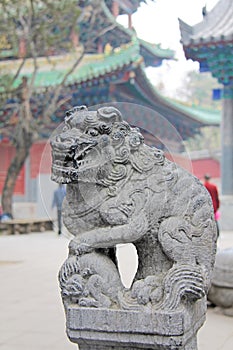 Stone Chinese lion in the monastery of Shaolin, China