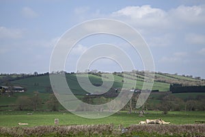 The stone circle known as Stanton Drew