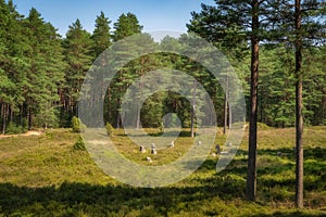 Stone Circles at Odry, an ancient burial and worship place from Bronze Age, Poland