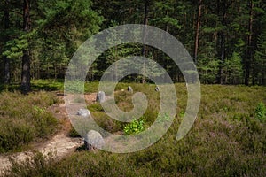 Stone Circles at Odry, an ancient burial and worship place, Poland