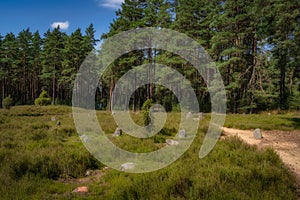 Stone Circles at Odry surrounded by pine forest, Poland