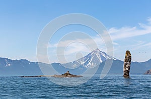 Stone cliff near Russkaya bay. Russia, Kamchatka.