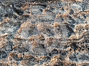 Stone at Cliff Pha Taem National Park
