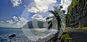 The stone coastline, Dominica, Lesser Antilles photo