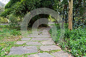 Stone Walkway in spring
