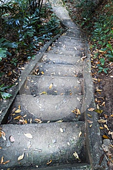 Stone concrete steps, a winding road down. fabulous view in the dark forest