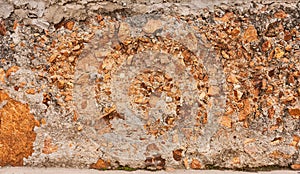 A stone, concrete wall in the section. Beautiful close-up background.