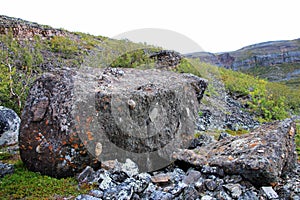 Stone conglomerate at Roddenes Nature Reserve, Lakselv, Norway, Europe