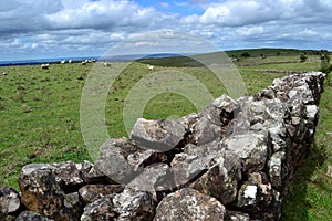 Stone corrals
