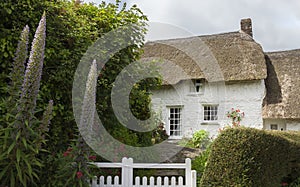 Stone cottage in Helford village, Cornwall, England photo