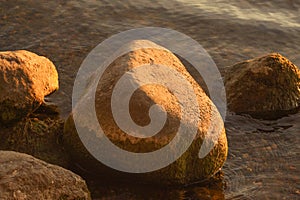 Stone covered with dry ooze