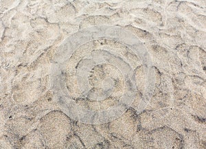 Stone covered sand, background.