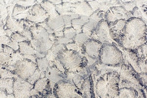 Stone covered sand, background.