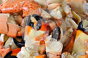 Stone Crab Claws photo