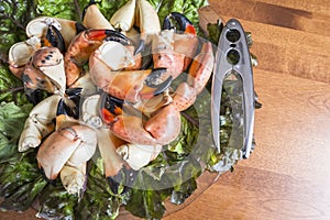 Stone Crab Claws on a Bed of Red Lettuce #1