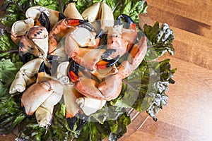 Stone Crab Claws on a Bed of Red Lettuce #2