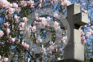 Stone cross, catholic religion symbol with magnolia flower tree background