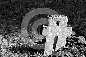 Stone cross in the graveyard