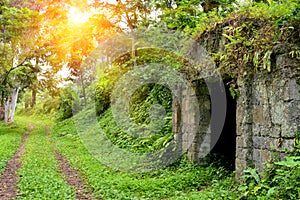 Stone crypt in botanical garden Georgia Batumi