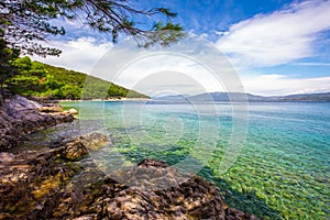 Stone crystal clear tourquise sea surrounding by pine trees in Croatia, Istria, Europe photo