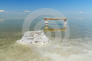 Stone with crystallized salt on Urmia Salt Lake. Iran photo