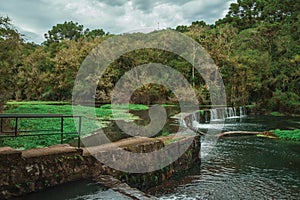 Stone dam in a river running through lush forest