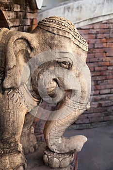 Stone decorated elephant head sculpture close-up