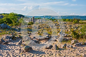 The Stone Desert or Stone Forest or Pobiti Kamani. Famous natural rock phenomenon near Varna, Bulgaria.