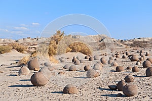 Stone desert in Ischigualasto, Argentina. photo