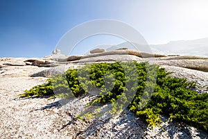 Stone desert landscape in Kazakhstan