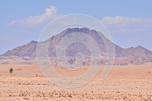 Stone Desert panorama Background in Namibia Africa